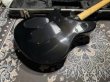 画像6: Peavey Wolfgang Standard Custom Shop 1'st / Build by John Douglas (6)