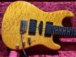 画像1: Valley Arts Custom Pro USA Quilted Maple H-S-H / Natural Ambe (1)
