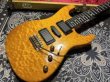 画像2: Valley Arts Custom Pro USA Quilted Maple H-S-H / Natural Ambe (2)