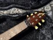画像5: Tom Anderson Bulldog Locker Light Tiger Eye Burst with Binding (5)