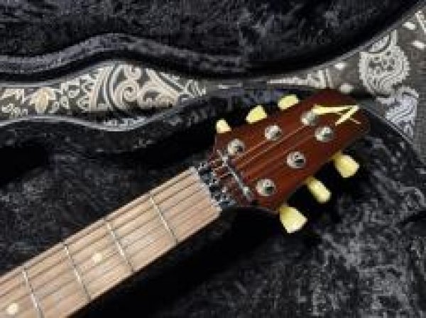 画像5: Tom Anderson Bulldog Locker Light Tiger Eye Burst with Binding (5)