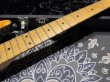 画像4: Suhr Standard Trans Honey Amber H-S-H (4)