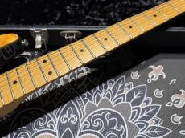 画像4: Suhr Standard Trans Honey Amber H-S-H (4)