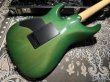 画像5: Tom Anderson DropTop/Trans green to forest burst (5)