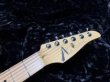 画像7: Tom Anderson DropTop/Trans green to forest burst (7)