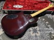 画像6: EVH Wolfgang Hard Tail Sunburst (6)