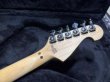 画像9: Washburn N4 Nuno Bettencourt Black/ White Splatter (9)