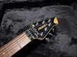 画像5: Peavey Wolfgang Standard Custom Shop 1'st / Build by John Douglas (5)