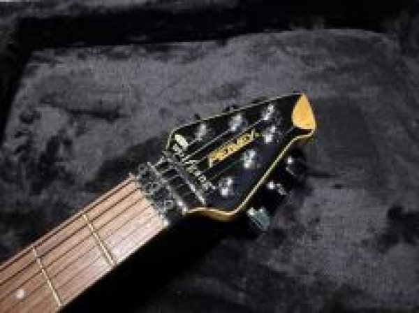 画像5: Peavey Wolfgang Standard Custom Shop 1'st / Build by John Douglas (5)