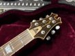 画像5: David Thomas McNaught Vintage Single Cut Light Tigers Eye Burst (Premium Diamond Flame) (5)