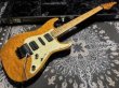画像2: Suhr Standard Trans Honey Amber H-S-H (2)