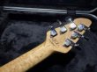 画像9: Peavey Wolfgang Standard Custom Shop 1'st / Build by John Douglas (9)