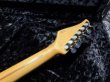画像9: Suhr Standard Trans Honey Amber H-S-H (9)