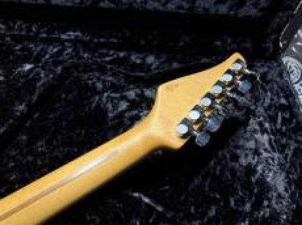 画像9: Suhr Standard Trans Honey Amber H-S-H (9)