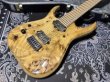 画像2: Skervesen Raptor 7 Lefty Natural / Rzeczpospolita Polska (2)