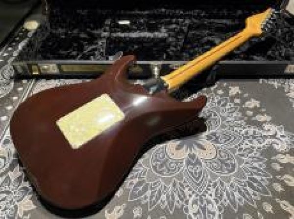 画像7: Suhr Standard Trans Honey Amber H-S-H (7)