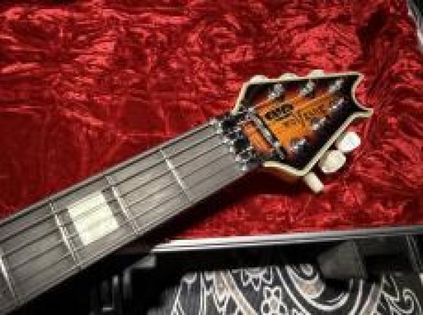 画像5: EVH Wolfgang Hard Tail Sunburst (5)