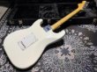 画像4:  Davis Custom Guitars Yngwie Malmsteen Scalloped Stratocaster / OlympicWhite (4)