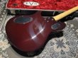 画像7: EVH Wolfgang Hard Tail Sunburst (7)