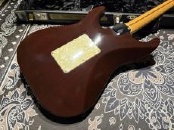 画像6: Suhr Standard Trans Honey Amber H-S-H (6)