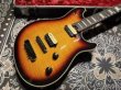 画像3: EVH Wolfgang Hard Tail Sunburst (3)