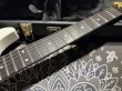 画像4:  Washburn N4 Nuno Bettencourt White Prototype / Bronze Hardware (4)