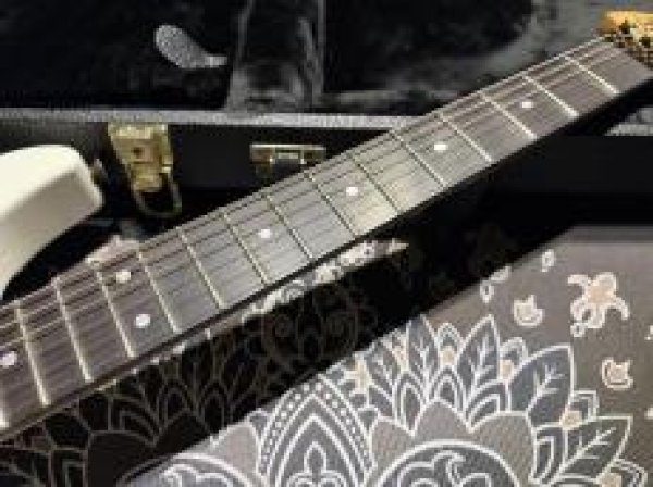 画像4:  Washburn N4 Nuno Bettencourt White Prototype / Bronze Hardware (4)