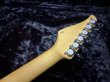 画像7: Suhr Standard Bengal Burst w/ Binding (7)