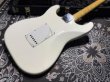 画像5:  Davis Custom Guitars Yngwie Malmsteen Scalloped Stratocaster / OlympicWhite (5)