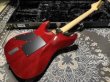 画像6: Suhr Standard Legacy LE Special Curly Maple Top / Aged Cherry Burst / FRT (6)
