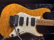 画像1: Suhr Standard Trans Honey Amber H-S-H (1)