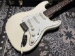 画像3:  Davis Custom Guitars Yngwie Malmsteen Scalloped Stratocaster / OlympicWhite (3)