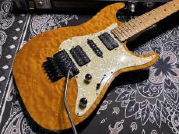 画像3: Suhr Standard Trans Honey Amber H-S-H (3)