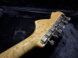 画像9:  Davis Custom Guitars Yngwie Malmsteen Scalloped Stratocaster / OlympicWhite (9)