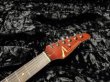 画像5: Tom Anderson Angel "KOA" / Honey Shaded Edge with Binding (5)