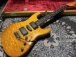 画像3: Valley Arts Custom Pro USA Quilted Maple H-S-H / Natural Ambe (3)