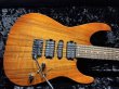 画像1: Tom Anderson Angel "KOA" / Honey Shaded Edge with Binding (1)