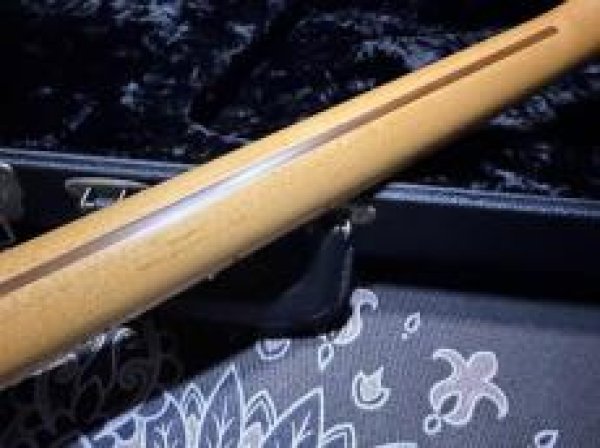 画像8: Suhr Standard Trans Honey Amber H-S-H (8)