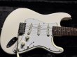 画像1:  Davis Custom Guitars Yngwie Malmsteen Scalloped Stratocaster / OlympicWhite (1)