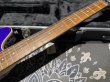 画像4: Peavey Wolfgang Standard Custom Shop 1'st / Build by John Douglas (4)