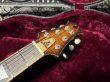 画像5: David Thomas McNaught Vintage Single Cut / Diamond Flame Antique Burst (5)
