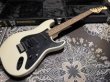 画像3: Charvel "Jake E Lee" Signature Model / Pro-Mod (3)