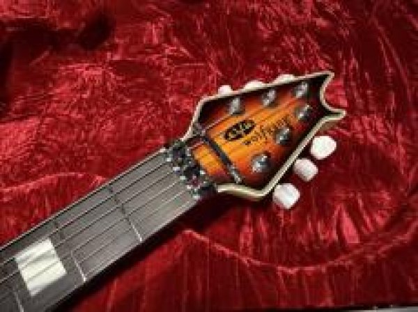 画像5: EVH EVH Wolfgang "5A" Flamed Maple Top 3-Color Sunburst (5)