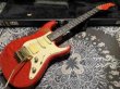 画像2: Valley Arts Valley Arts Custom Pro USA Maple Body / Trans Red (2)