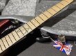 画像4: Skervesen Custom Shop Skervesen Custom Shop Mirage 6 / Trans Red (4)