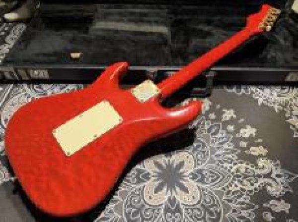 画像6: Valley Arts Valley Arts Custom Pro USA Maple Body / Trans Red (6)