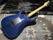 画像7: TOM ANDERSON Tom Anderson Guardian Angel / Natural Arctic Blue with Binding (7)