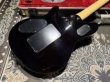 画像7: EVH EVH Wolfgang "5A" Flamed Maple Top 3-Color Sunburst (7)