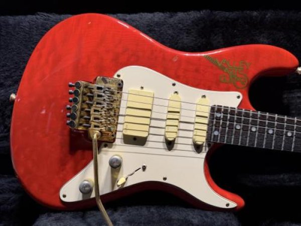 画像1: Valley Arts Valley Arts Custom Pro USA Maple Body / Trans Red (1)