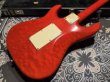 画像7: Valley Arts Valley Arts Custom Pro USA Maple Body / Trans Red (7)